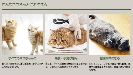 ネイチャーズテイスト チキン＆ターキー 　16kg