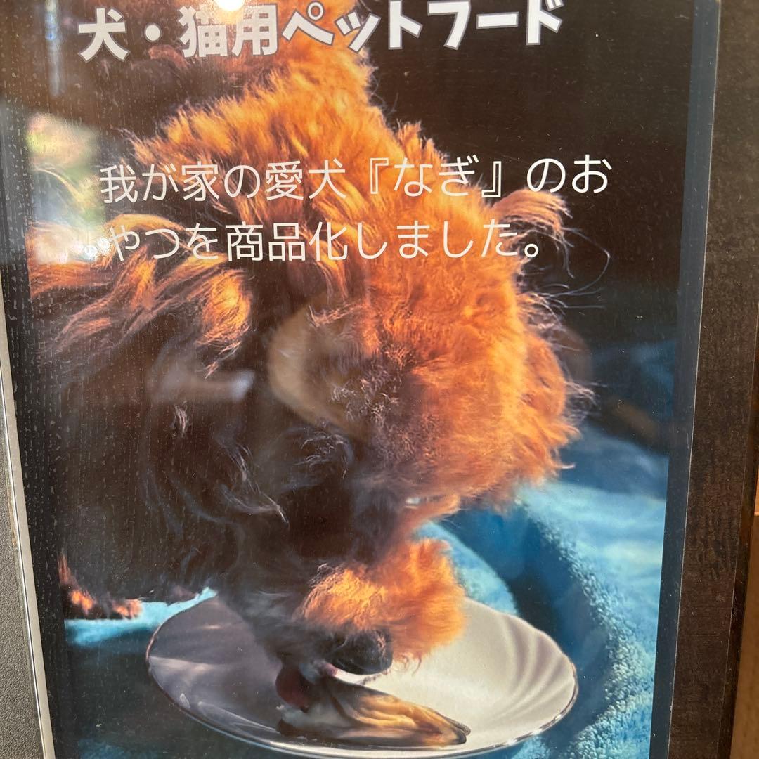 鰻の尾頭ジャーキーまとめ買い超お得割50グラム12パック