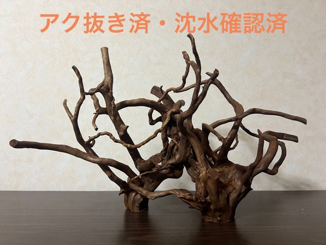 32205 ブランチウッド　流木　アクアリウム 沈水確認済