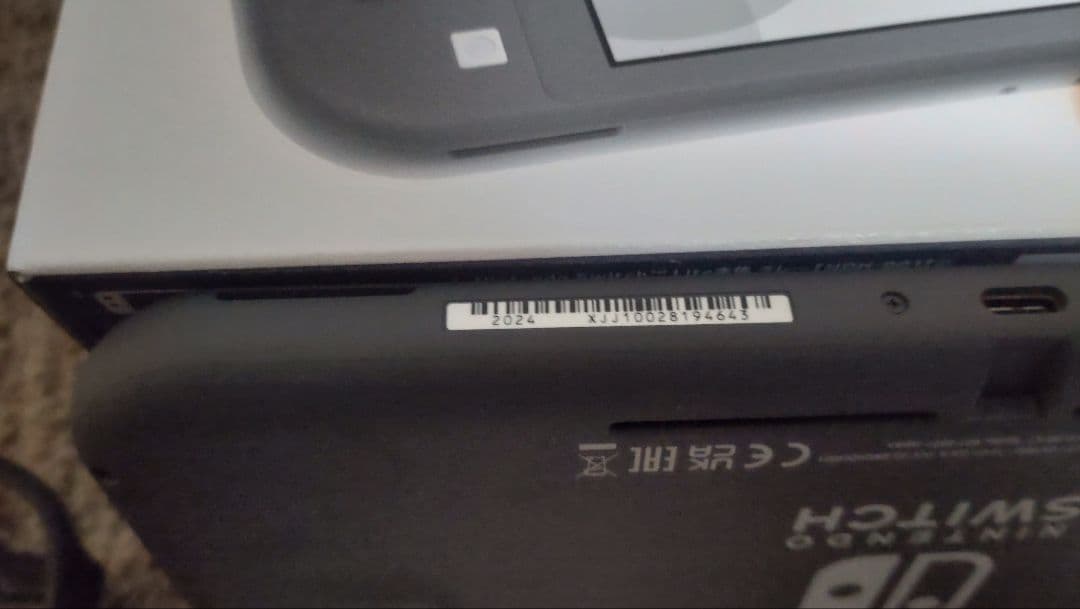 Nintendo Switch Lite グレー 本体 充電器 ケース付き