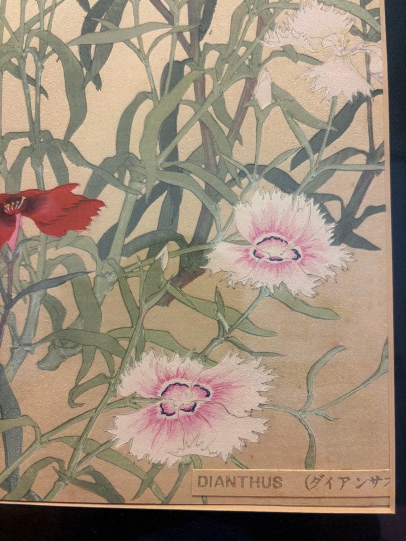 【真作】木版画 錦絵 浮世絵 大判 4点セット 千種掃雲『洋草花譜』 久保田米僊