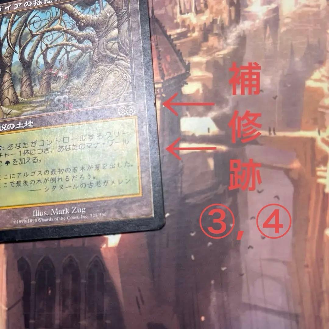 MTG ガイアの揺籃の地 日本語版