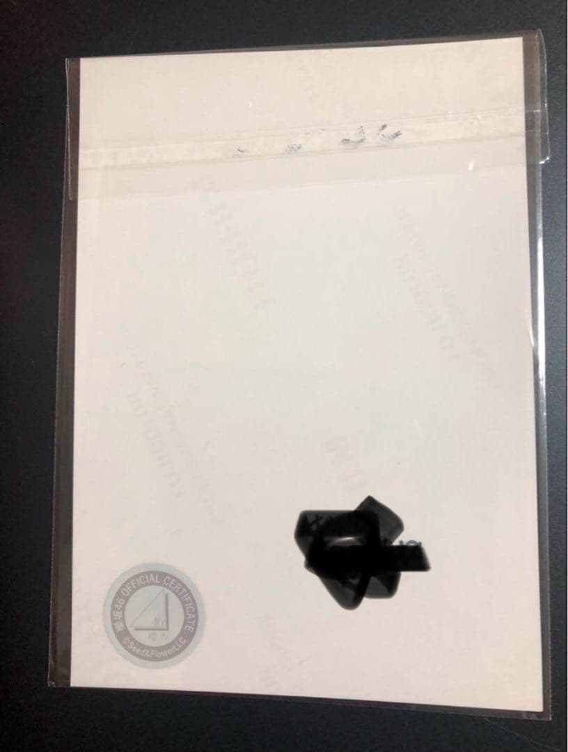 増本綺良 サイン入りサンタ写真