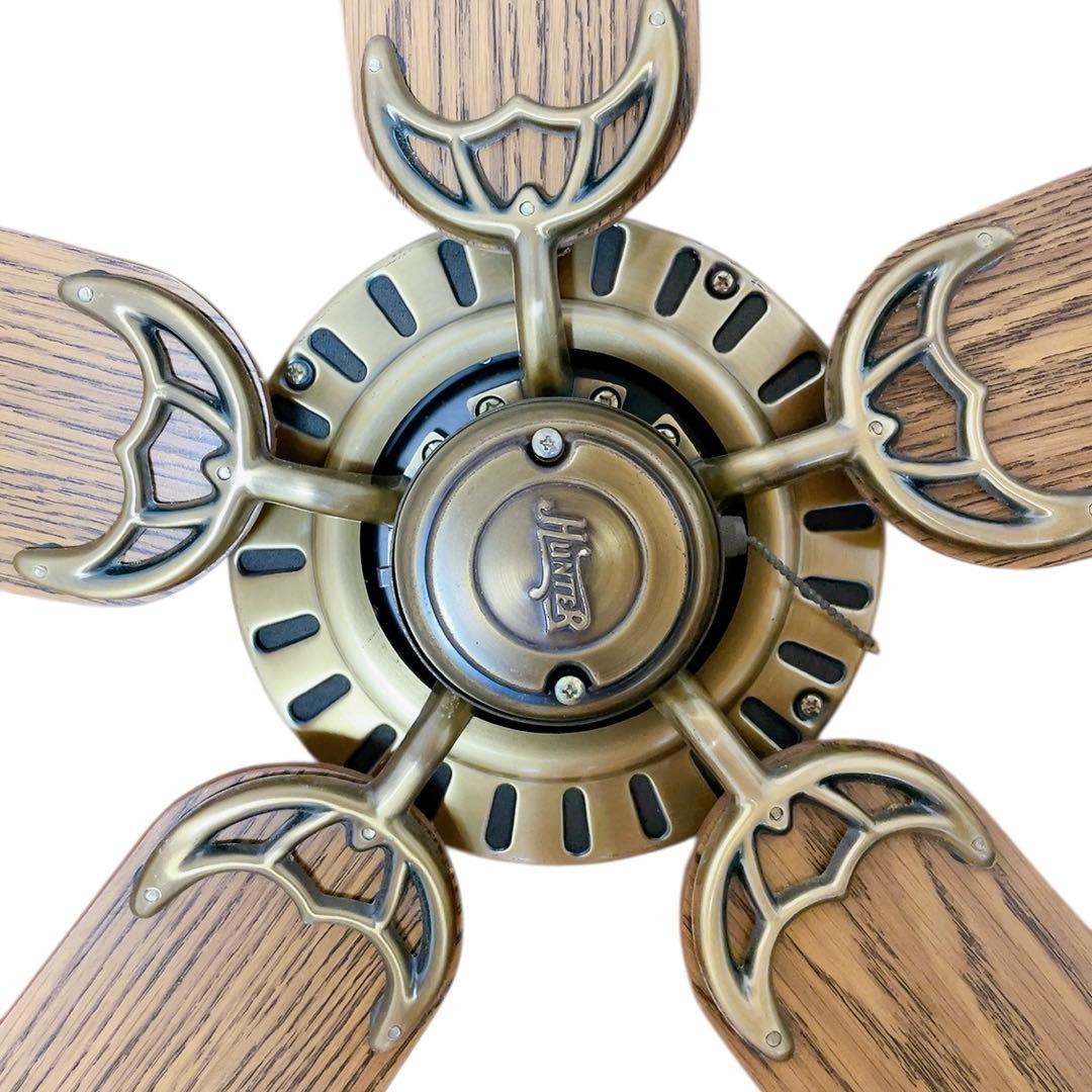 【ライダーマン】シーリングファン 5枚 羽根 木製 ブラウン 茶