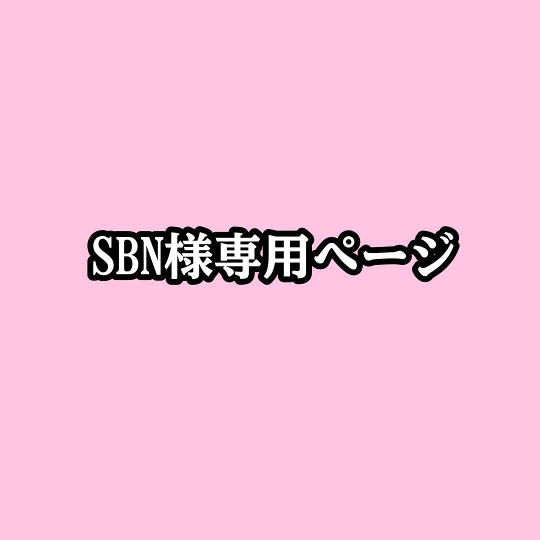 SBNページ