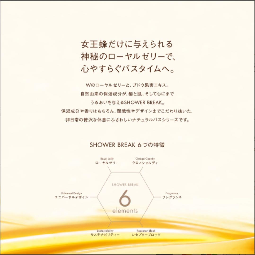 【新品セット】POLA シャワーブレイク シャンプー&コンディショナー10L