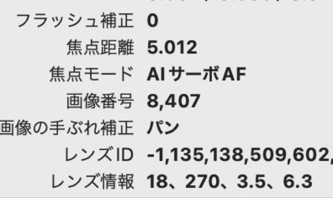 【Nikon D7500】本体＋レンズ2つ