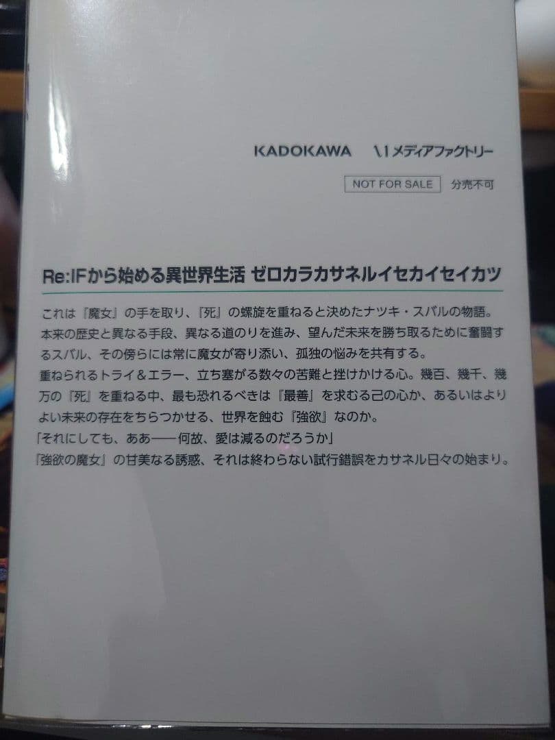 Re:IF から始める異世界生活 ゼロカラカサネルイセカイセイカツ