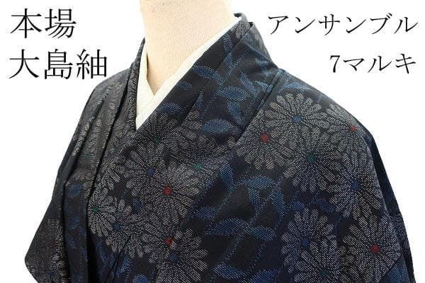 未使用品 本場大島紬 紬 アンサンブル ネイビー 枝花 身丈153.0cm 正絹