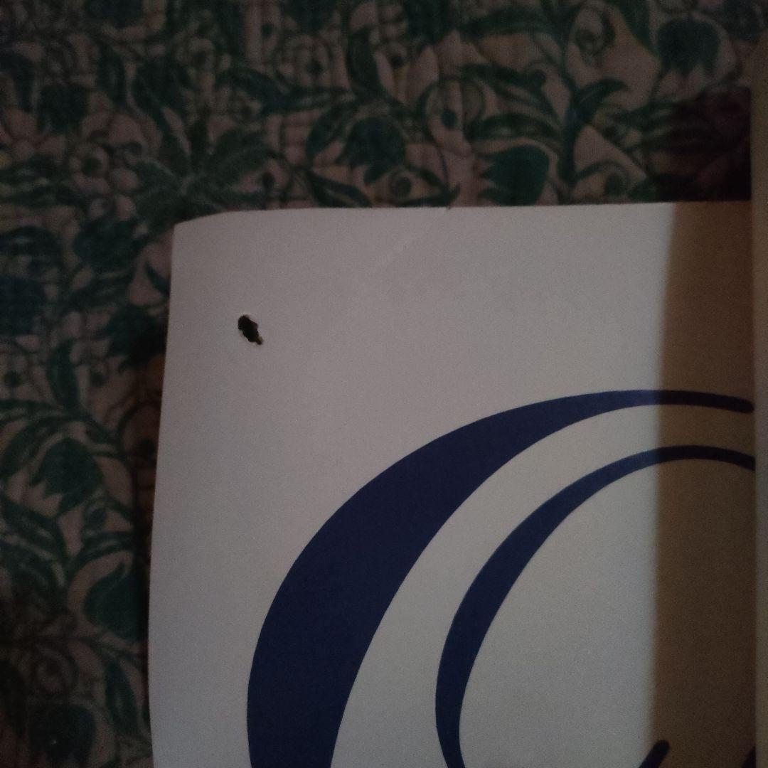 尾崎豊　ポスター　1988年　2セット