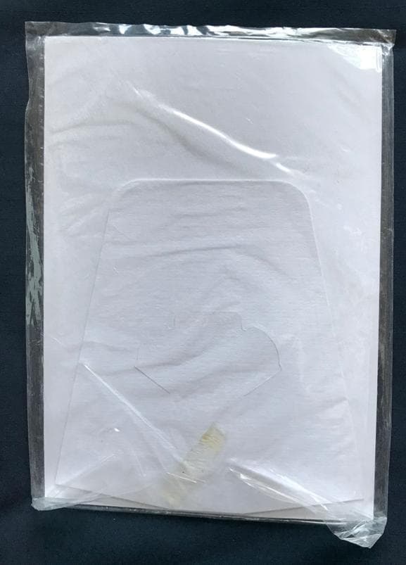 ★ZARD　坂井泉水　「店頭販促用VTR・ポップ・色紙」