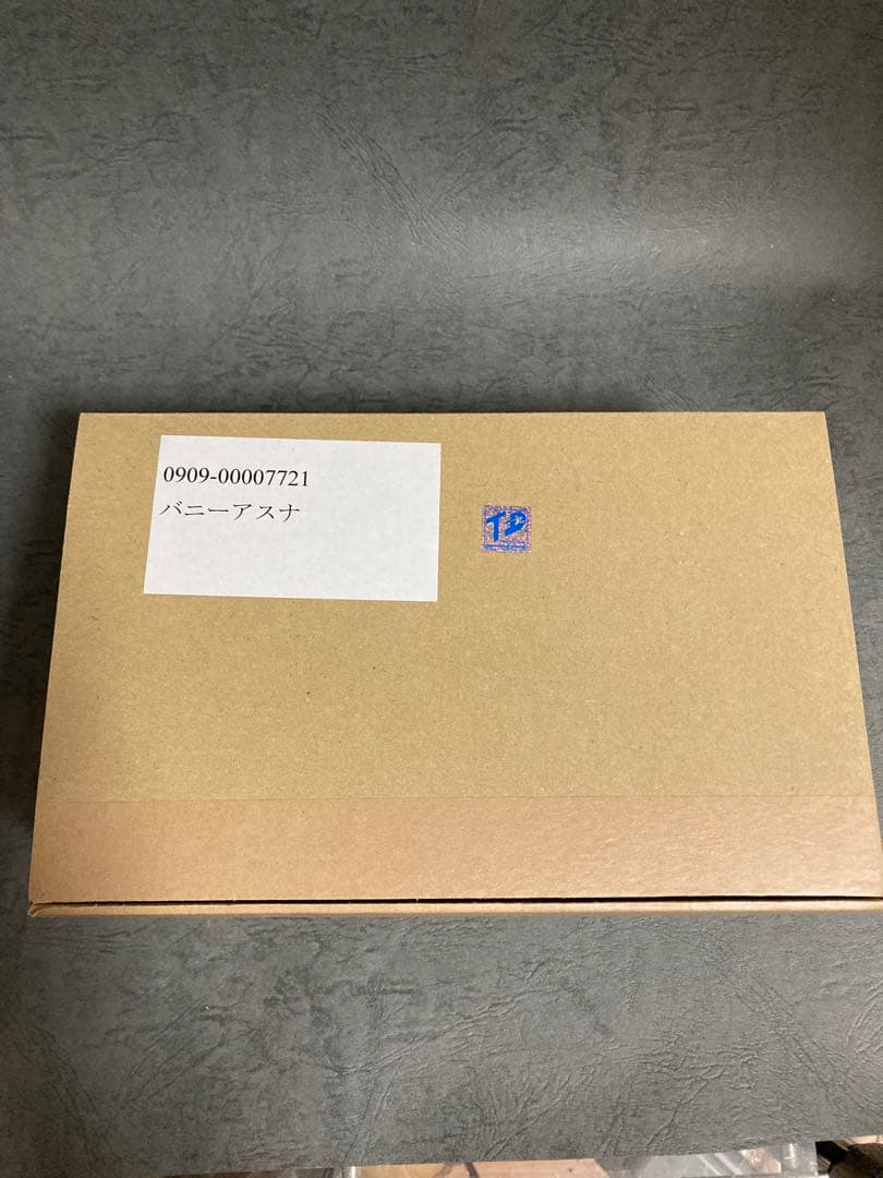 バニーアスナ　ガレージキット