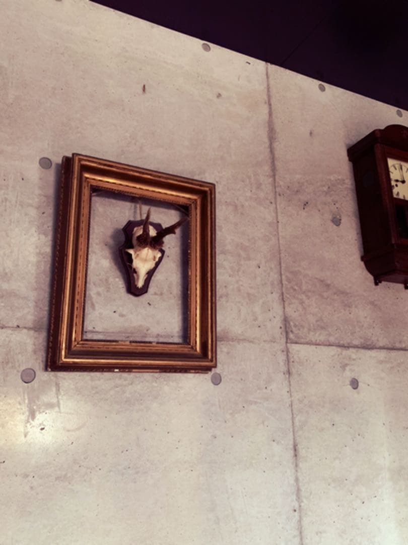 アンティーク スカル ホーン フレーム 英国