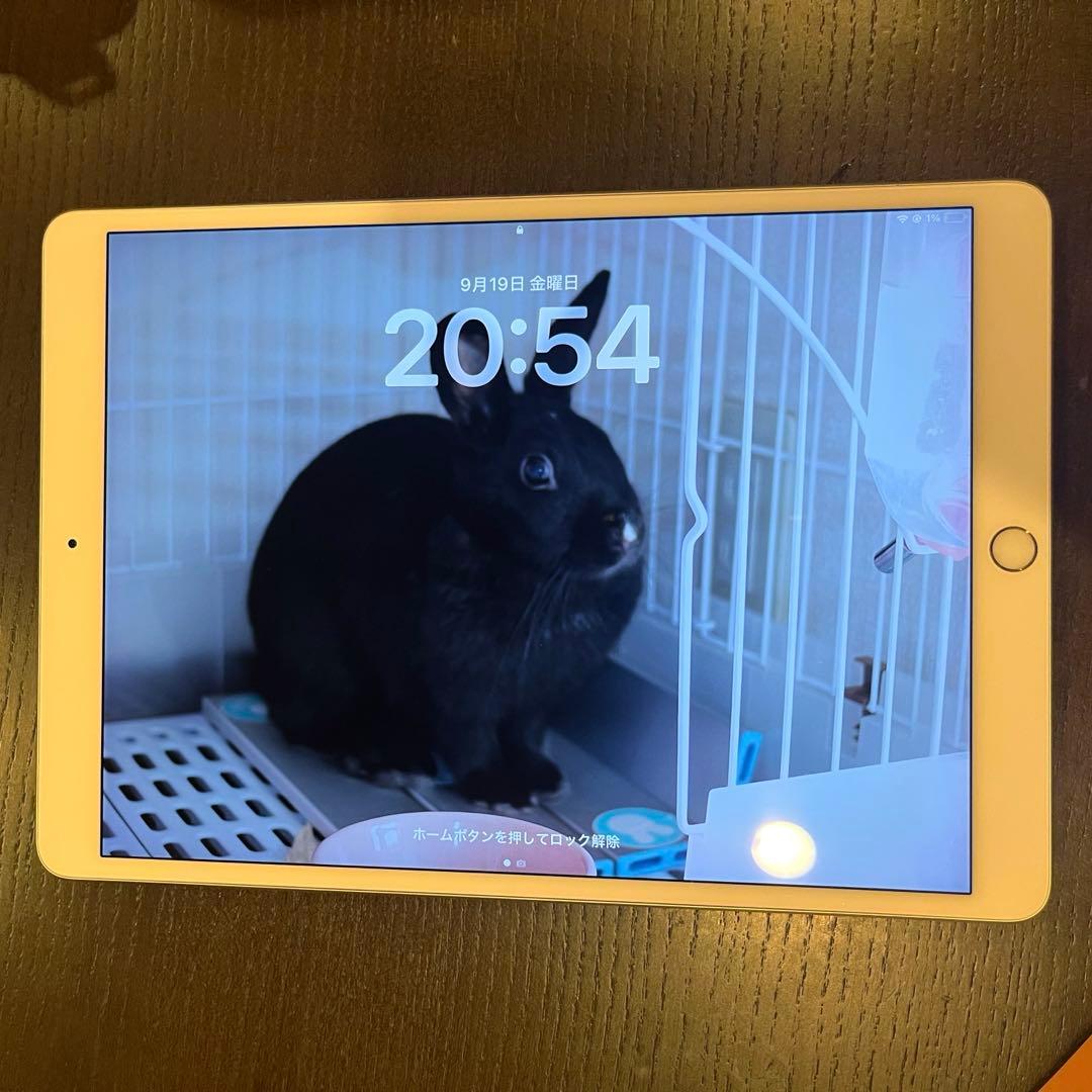 【美品】 iPad Pro 10.5インチ Wi-Fi 64GB ゴールド