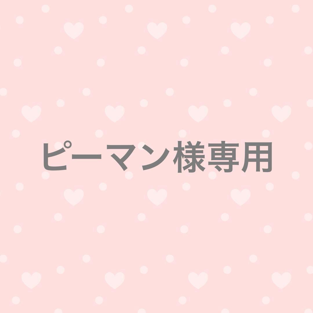 【ピーマン】SKZOO クリスマス衣装