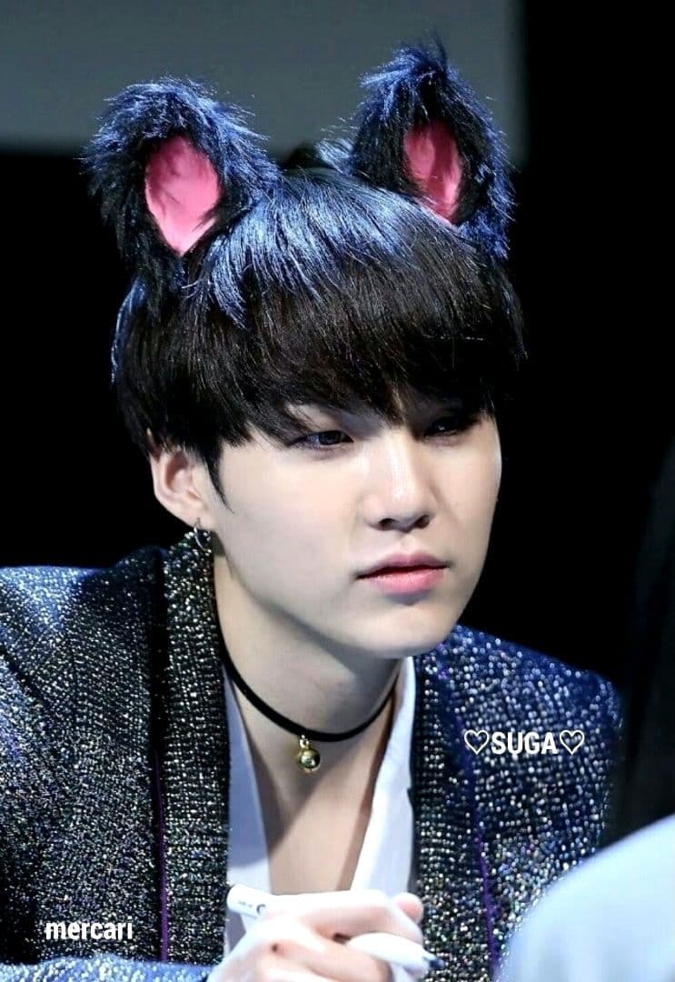 BTS ぬいぐるみ 10cm SUGA AgustD ユンギ テテ ジン ジミン