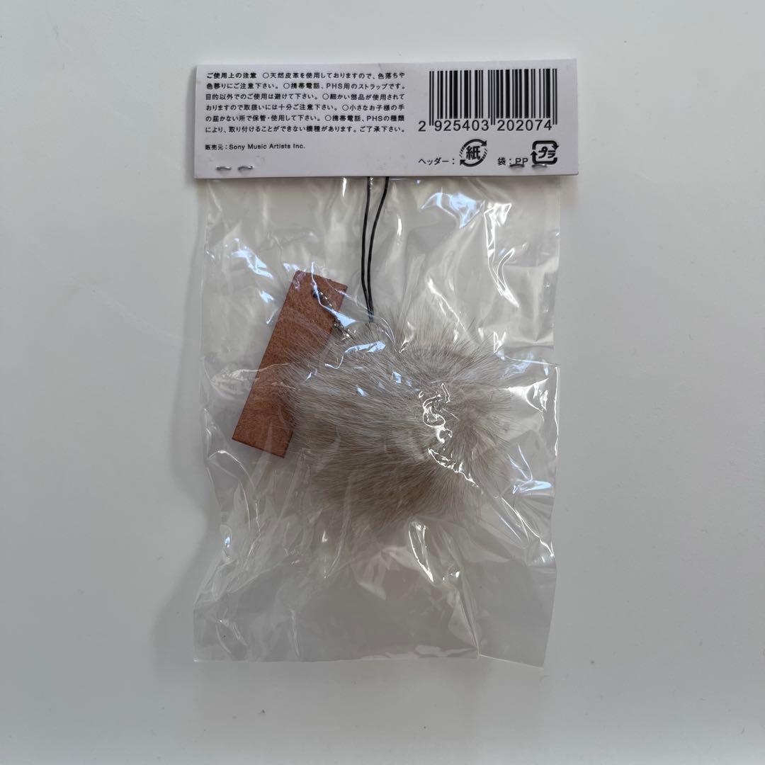 新品未開封　フジファブリック　志村正彦　非売品　ストラップ　トートバッグ　ピック