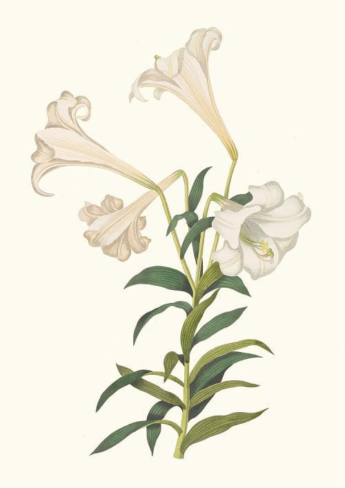 m10★ポスター8枚