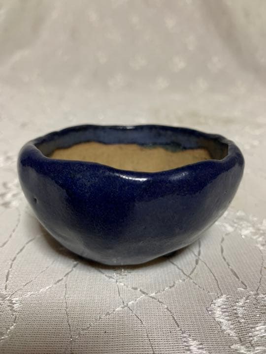 東福寺　ミニ盆栽鉢　るり色