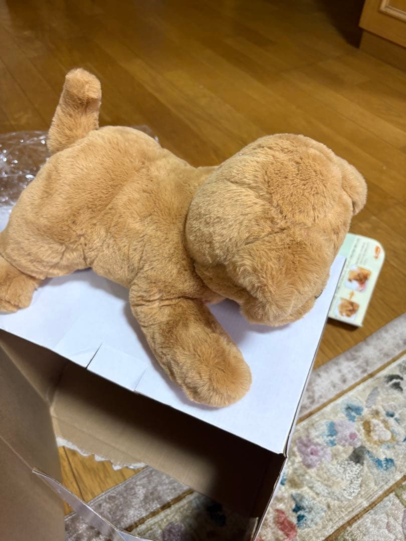 AIロボット　タカラトミー　ダッキースター