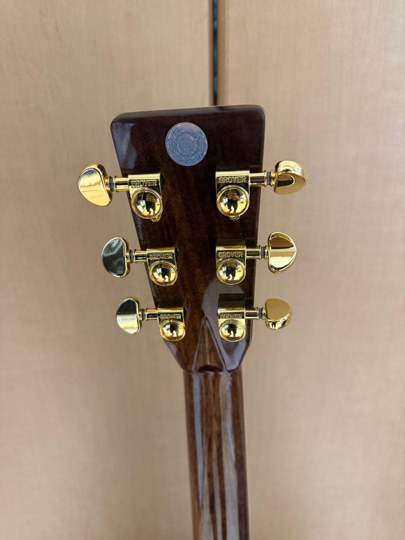 ギター Headway HD-V150SE/45