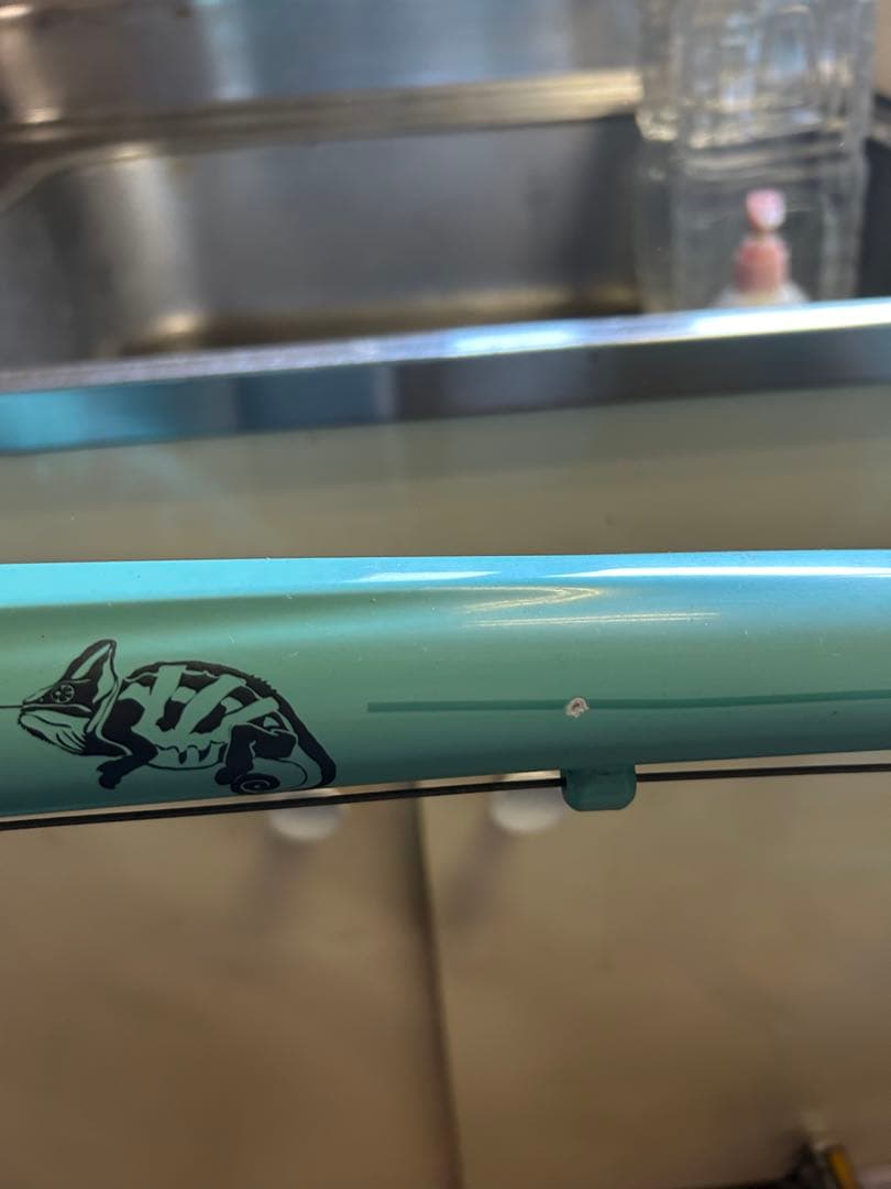 【180cm以上】ビアンキ　クロスバイク　bianchi camaleonte