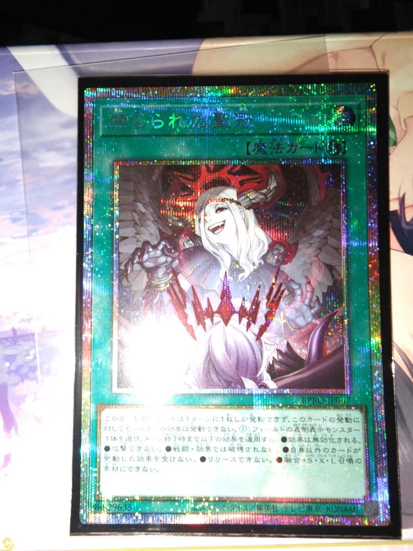 水*ィ様 禁じられた聖冠 プリシク