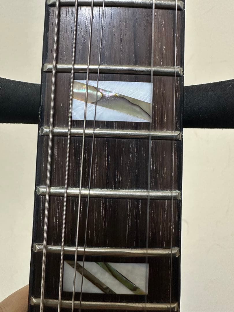 Aria pro ii Duncan Designed搭載パープルエレキギター