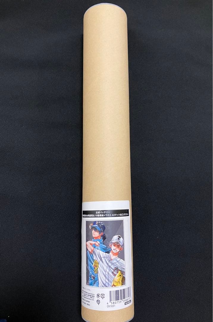 忘却バッテリー A3マット加工ポスター 清峰葉流火＆飛高翔太 10巻表紙イラスト