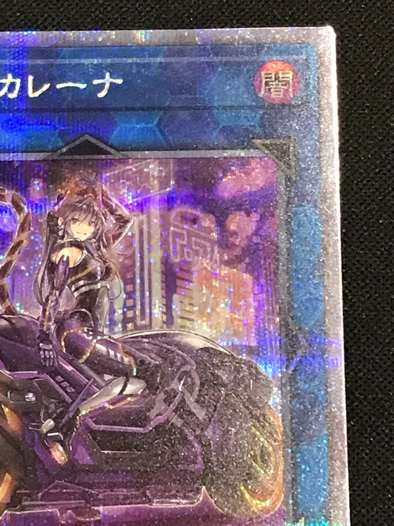 【遊戯王】I：Pマスカレーナ バイク 絵違い 25th