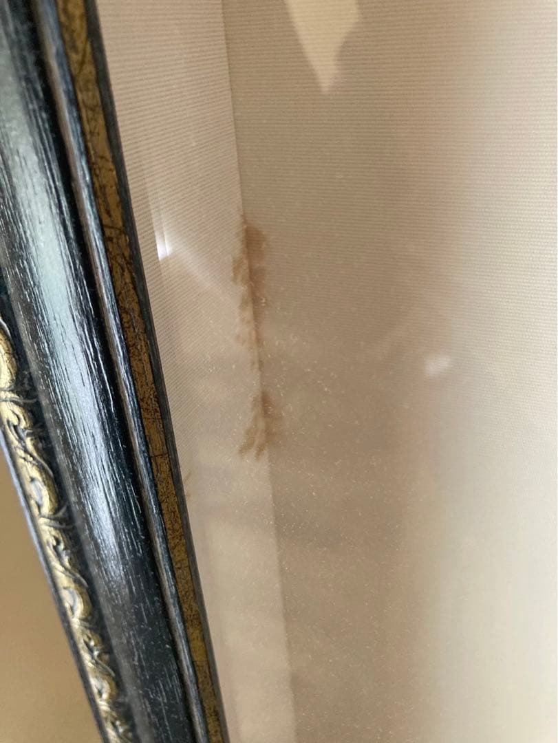 KAGAYA インフィニティ　絵画版画　保証書あり