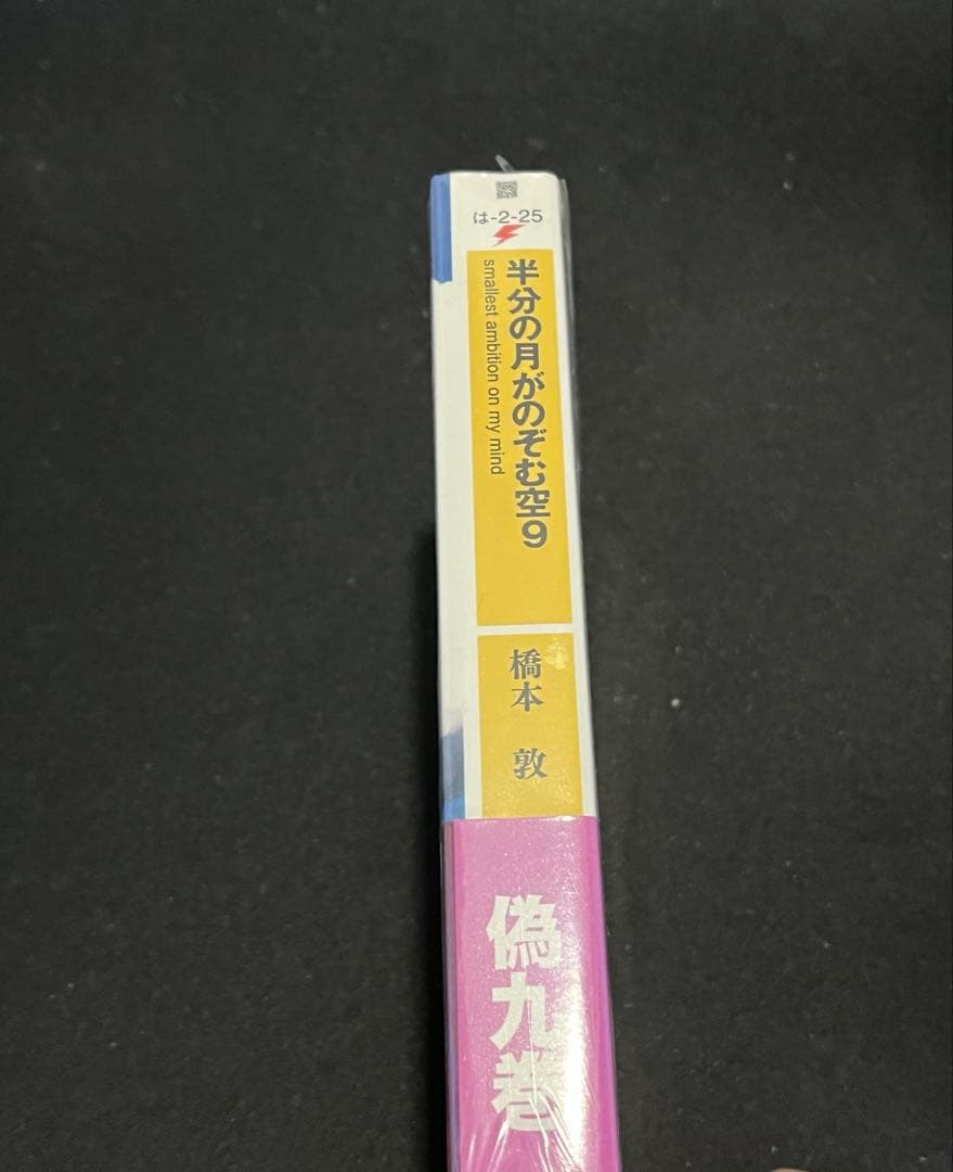 【新品未開封】半分の月がのぼる空 偽9巻　半分の月がのぞむ空9 同人誌