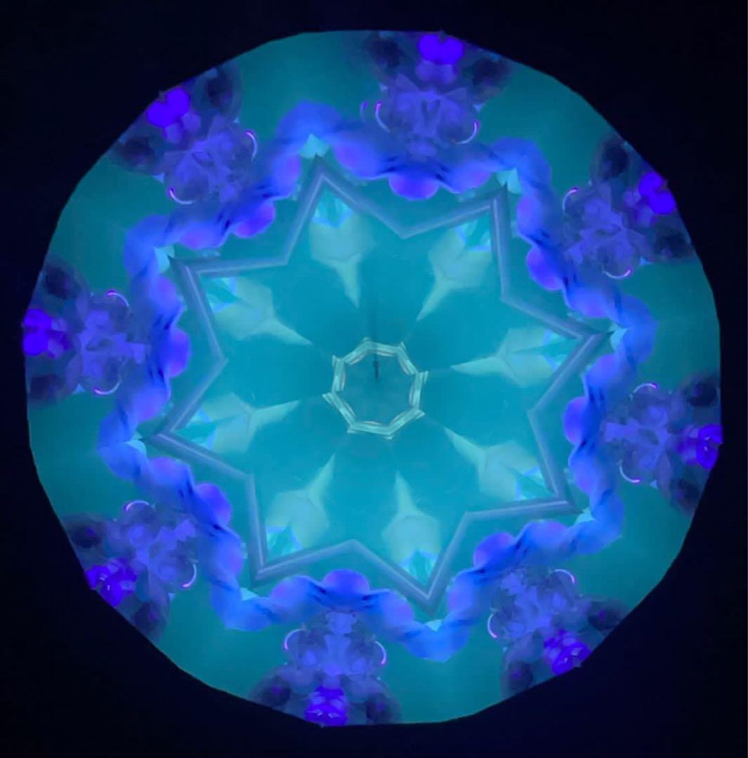 傍嶋飛龍 万華鏡