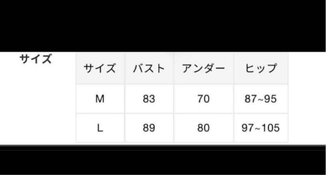 BATHING APE ABC CAMO SWIMWEAR 水着 ビキニ M