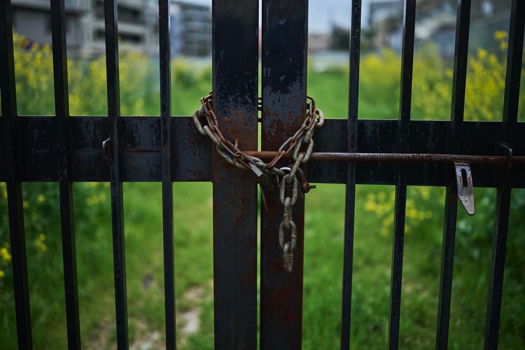 SIGMA シグマ 40mm F1.4 DG HSM Art Canon EF用