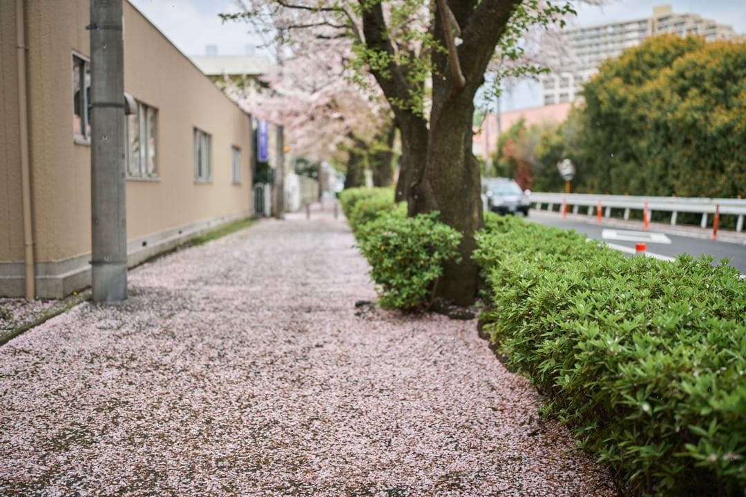 SIGMA シグマ 40mm F1.4 DG HSM Art Canon EF用