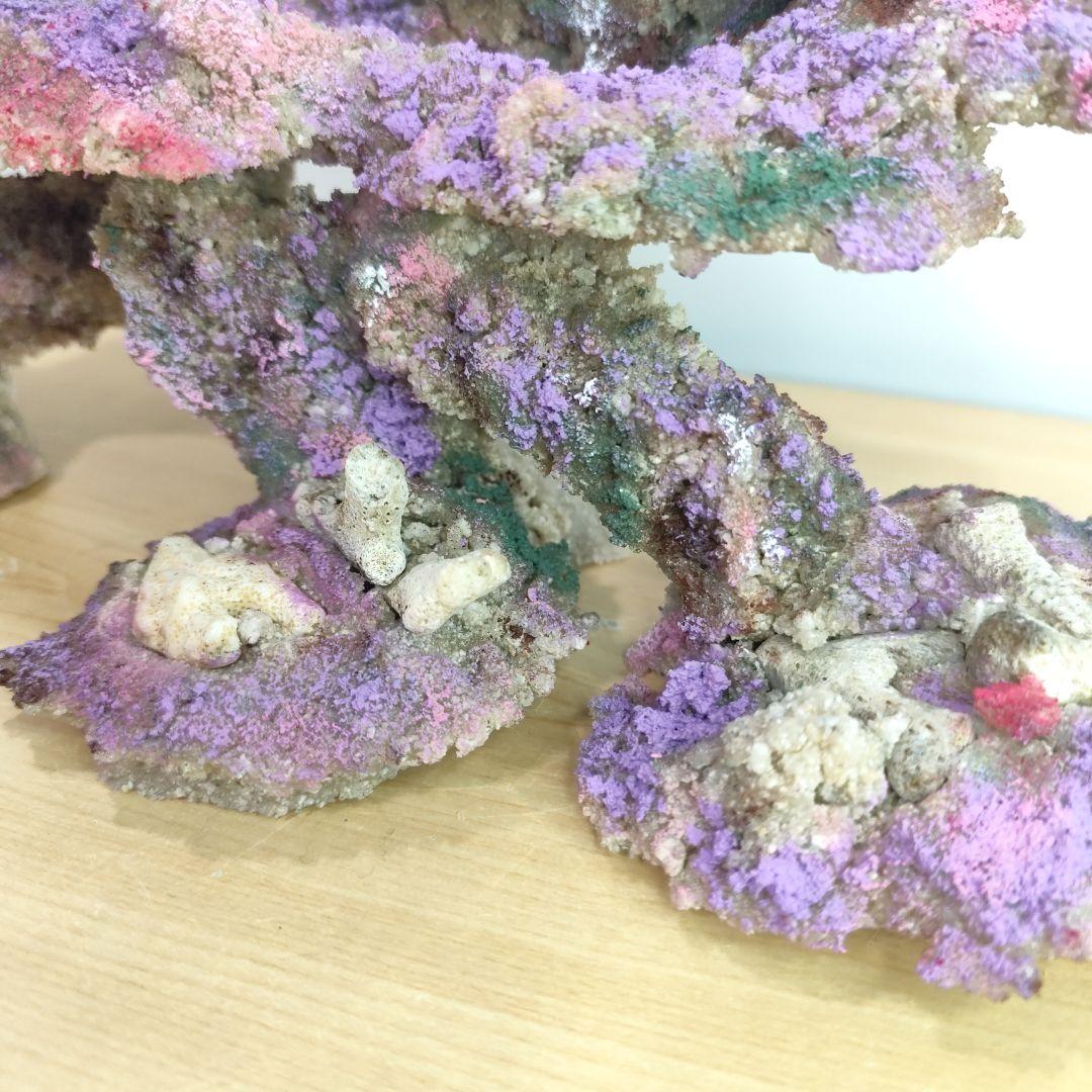 ❖新品アク抜き不要 人工ライブロック 60cm海水水槽用 レプリカ 多孔質安い7