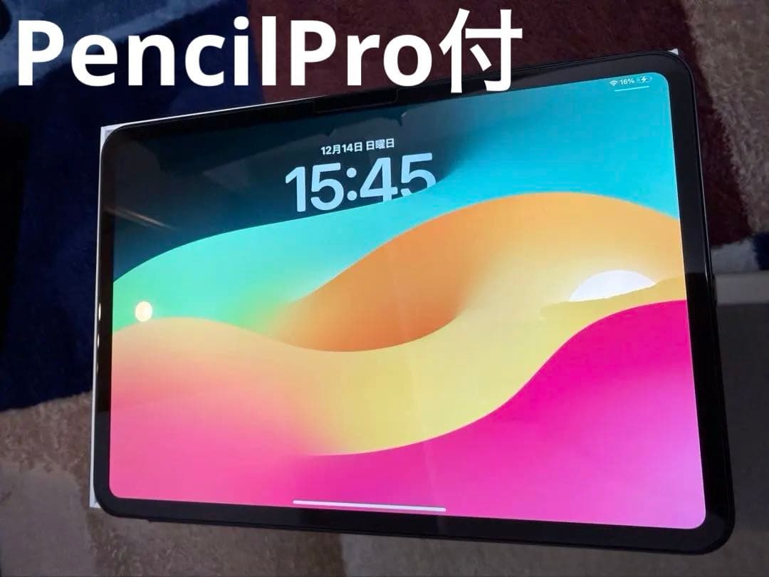 Apple iPad Pro 11インチ M4 スペースブラック おまけ付き