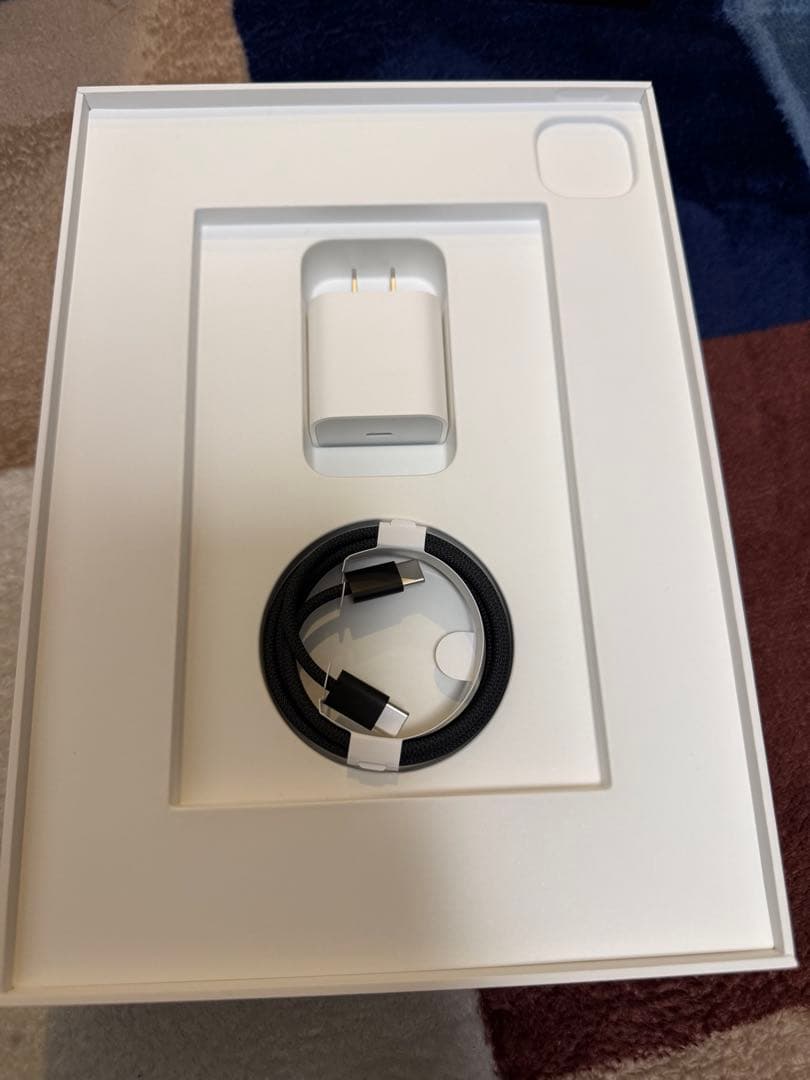 Apple iPad Pro 11インチ M4 スペースブラック おまけ付き