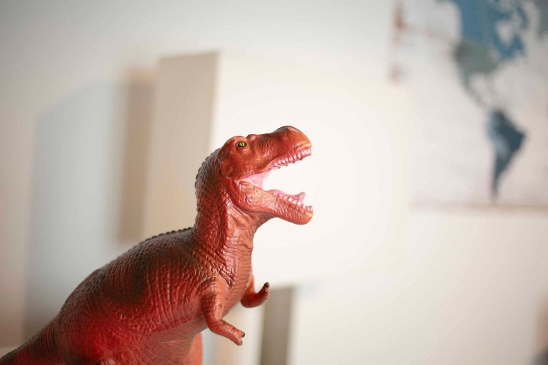 【試写あり】canon EF 35mm f/2