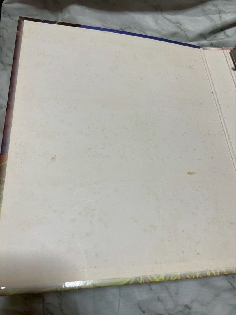 ポケモンカード コレクションファイル 2003 天空の覇者 レックウザ 他カード