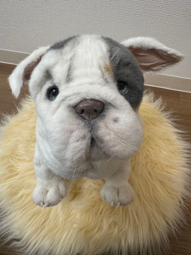 海外作家様作　ブルドッグの子供　アートドール