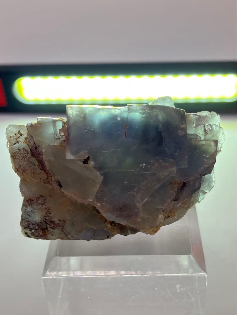 フローライト　ブラックフォレスト　黒い森