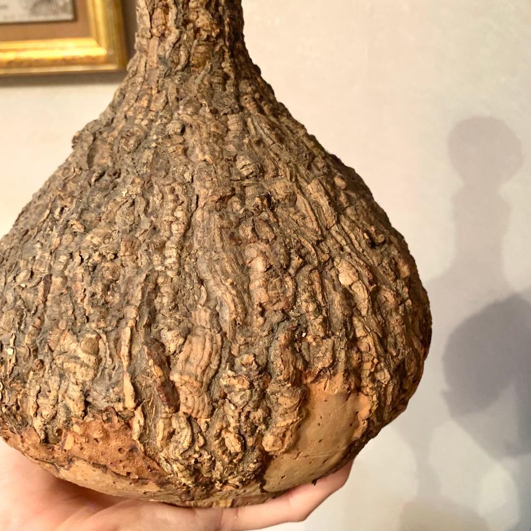 樹皮コルクで覆われたガラス瓶