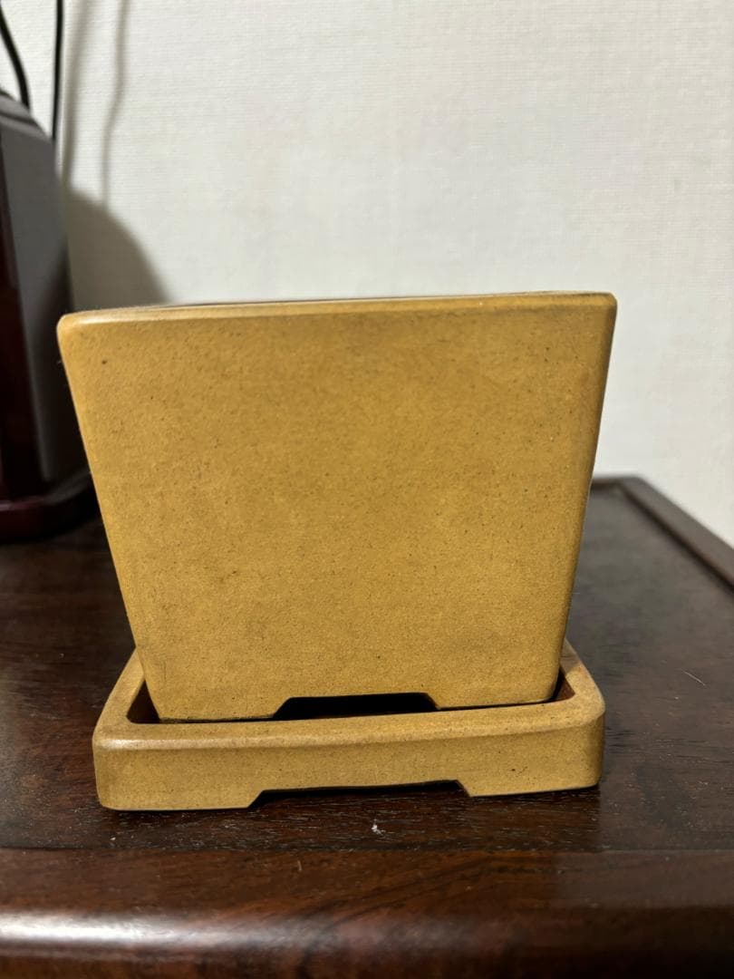 紫砂の鉢 盆栽鉢釘彫鉢◇中国宜興◇刻印あり