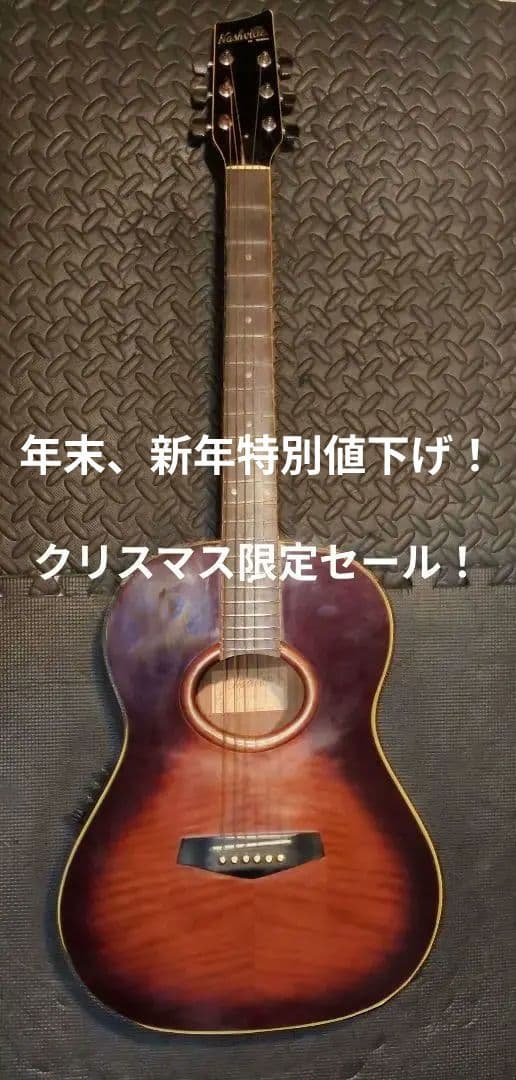 Nashville by SAMICK エレアコギター