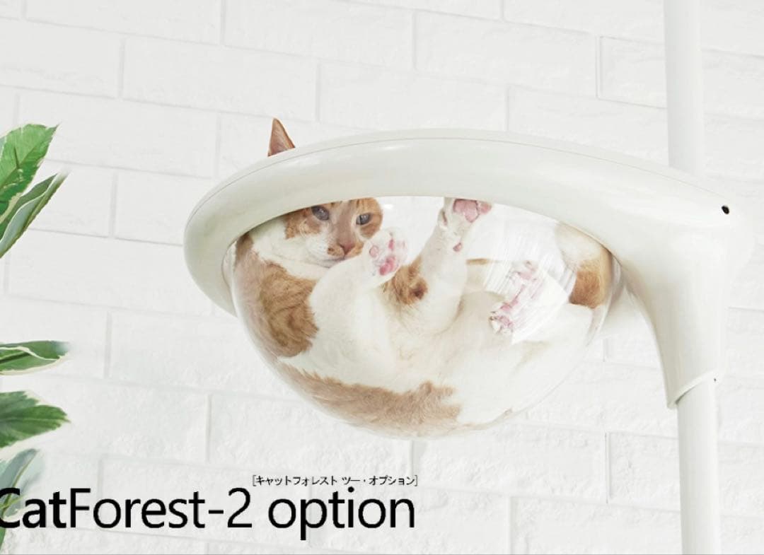 OPPO オッポ キャットフォレストオプション　クリアボウル　ブラック