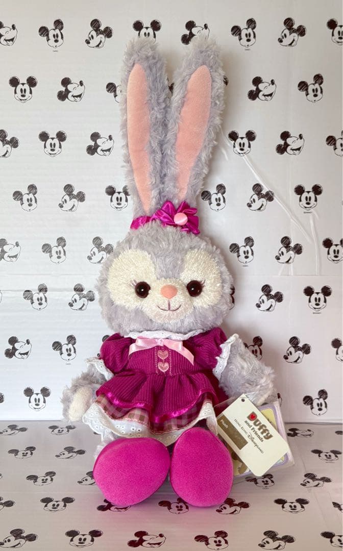 香港ディズニー　ステラルー　バレンタイン