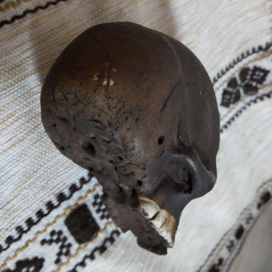 髑髏 頭蓋骨 の置き物 骨董品 陶器製？