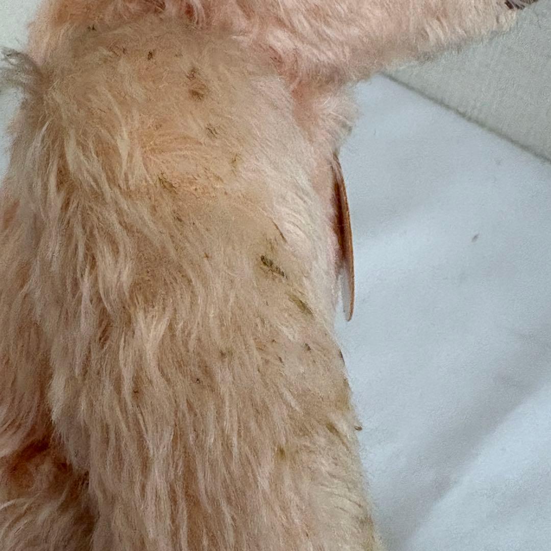 シュタイフ テディベア BABY MASAKO ROSE 23 no.24